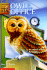 Owl in the Office (Animal Ark Series #11)