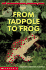 Scholastic Science Readers: From Tadpole to Frog