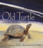 Old Turtle and the Broken Truth (Lessons of Old Turtle)