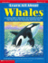 Learn All About: Whales: a Learning Bank of Information and Irresistible Activities That Teach About This Fascinating Nonfiction Topic