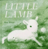 Little Lamb (Soft-to-Touch Books)