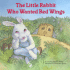 The Little Rabbit Who Wanted Red Wings