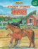 Horses (Sticker Stories)