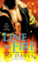 Line of Fire: the Firefighters of Station Five