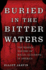 Buried in the Bitter Waters: the Hidden History of Racial Cleansing in America