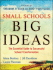 Small Schools, Big Ideas: the Essential Guide to Successful School Transformation