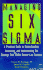 Managing Six Sigma: a Practical Guide to Understanding, Assessing, and Implementing the Strategy That Yields Bottom-Line Success (a Wiley-Interscience Publication)