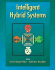 Intelligent Hybrid Systems