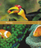 Animal Structure and Function, Vol 5