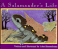 A Salamander's Life