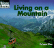 Living on a Mountain