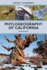 Phylogeography of California: an Introduction