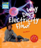 Why Does Electricity Flow? Level 6 Factbook: and Other Questions About Electricity (Cambridge Young Readers)