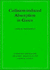 Collision-Induced Absorption in Gases