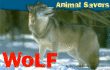 Wolf, Animal Saver Take-Action Pack (Discovery Kids)