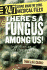 There's a Fungus Among Us! (24/7: Science Behind the Scenes: Medical Files) (Library Edition) Diconsiglio, John