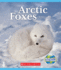 Arctic Foxes (Nature's Children) (Nature's Children, Fourth Series)