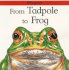 From Tadpole to Frog (Lifecycles)