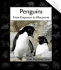 Penguins: From Emperors to Macaronis