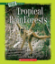 Tropical Rain Forests (a True Book)