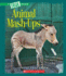 Animal Mash-Ups (True Book: Amazing Animals) (Library Edition)