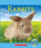 Rabbits (Nature's Children)