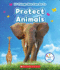 10 Things You Can Do to Protect Animals (Rookie Star)