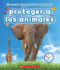 10 Cosas Que Puedes Hacer Para Proteger a Los Animales (Rookie Star: Make a Difference) (Spanish Edition)
