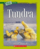 Tundra (a True Book)