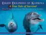 Eight Dolphins of Katrina Pa