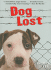 Dog Lost