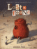 Lost & Found: Three By Shaun Tan (Lost and Found Omnibus)