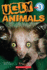 Scholastic Reader Level 3: Ugly Animals