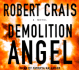 Demolition Angel