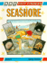 The Seashore (Factfinders)