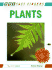 Plants (Bbc Fact Finders)