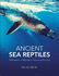 Ancient Sea Reptiles: Plesiosaurs, ichthyosaurs, mosasaurs and more