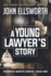 A Young Lawyer's Story (Thaddeus Murfee Legal Thriller Series)