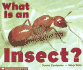 What is an Insect? (Emergent Readers)