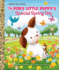The Poky Little Puppy's Special Spring Day (Little Golden Book)