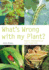 What's Wrong With My Plant? : Expert Information at Your Fingertips