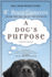 A Dog's Purpose (Mti)
