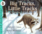 Big Tracks, Little Tracks (Turtleback School & Library Binding Edition) (Let's-Read-and-Find-Out Science: Stage 1)