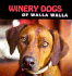 Winery Dogs of Walla Walla