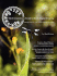 The Extraordinary Guide to Basic Digital Imaging