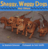 Shaggy, Waggy Dogs (and Others)