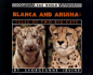 Blanca and Arusha: Tales of Two Big Cats