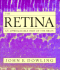 The Retina: an Approachable Part of the Brain