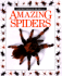 Amazing Spiders (Eyewitness Junior)