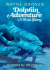 Dolphin Adventure: Format: Paperback